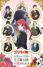 أنمي Gorilla no Kami kara Kago sareta Reijou wa Ouritsu Kishidan de Kawaigarareru مترجم الموسم الأول